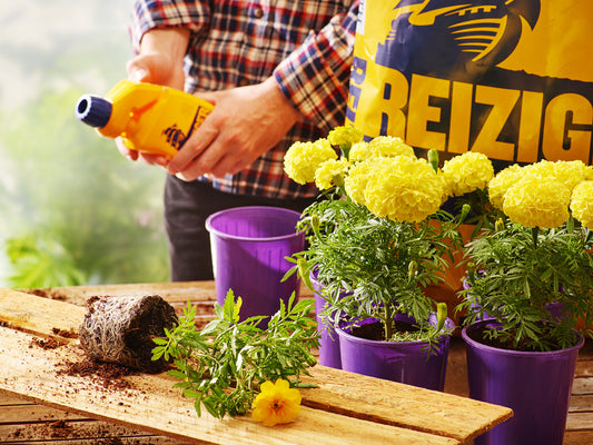Mastering Hydroponics: Avoid These 7 Key Mistakes for Thriving Gardens