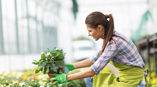 Woman gardening in a greenhouse