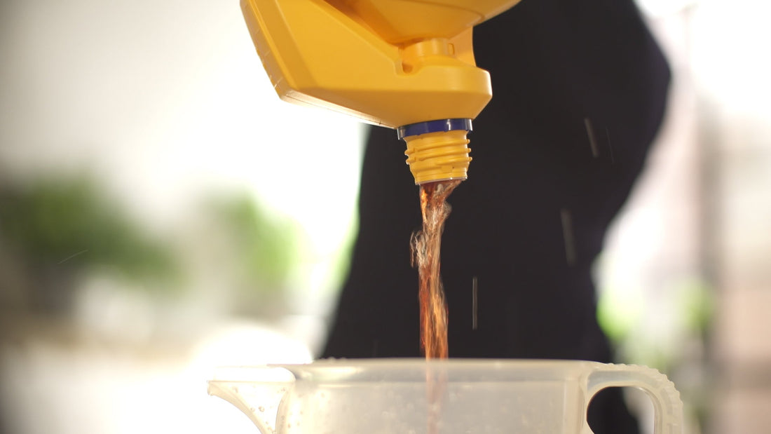 Hydroponic Nutrients 101: Maximizing Growth and Yield