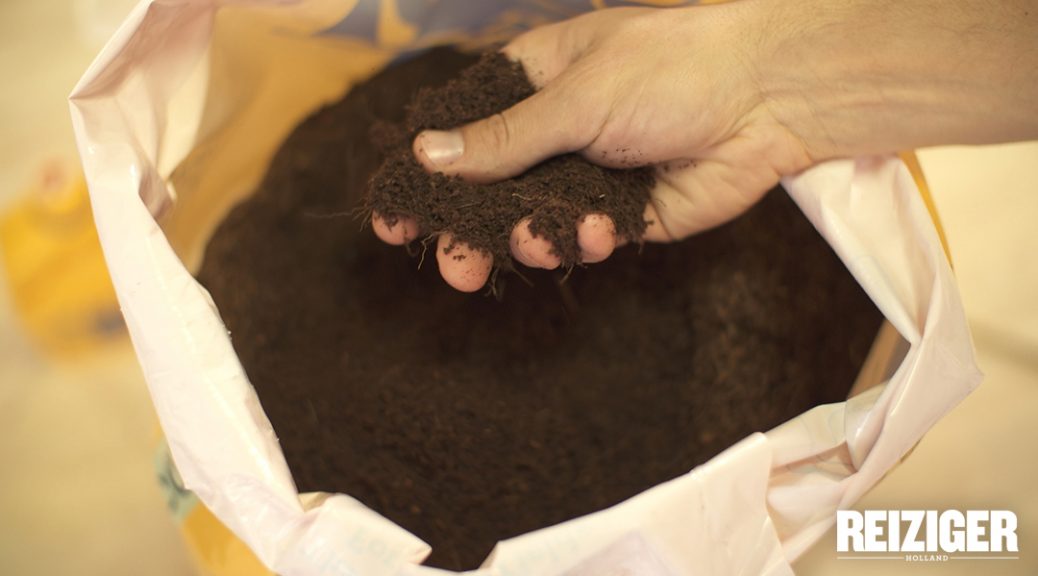 A person's hand holding soil