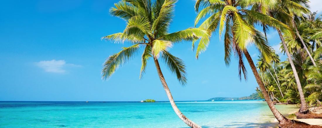 REIZIGER Coco Palms