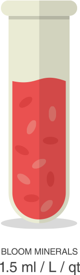 Test tube with red liquid