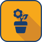 files/Coco-coir-pith-directions-icon-plant.png