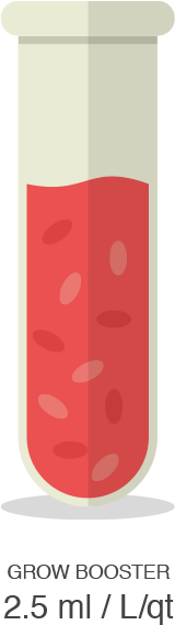 Test tube with red liquid