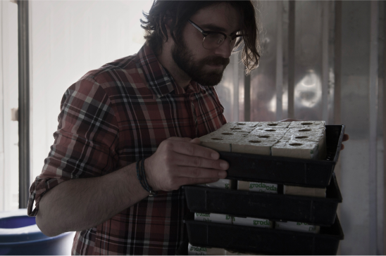 A man with glasses and a beard, wearing a plaid shirt, intently examines a tray of plant seedlings, symbolizing the careful attention and dedication required in the early stages of plant growth.